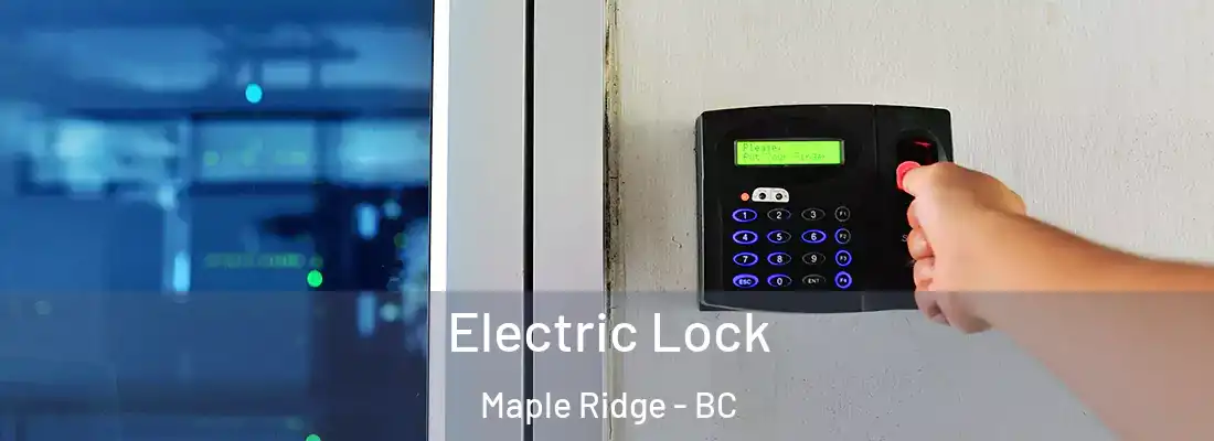  Electric Lock Maple Ridge - BC