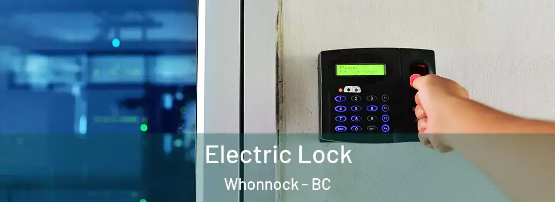  Electric Lock Whonnock - BC