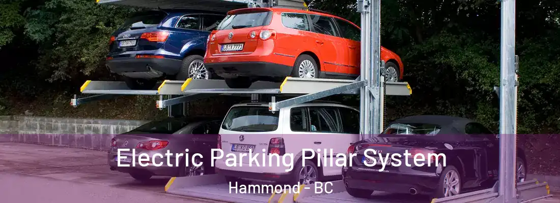  Electric Parking Pillar System Hammond - BC