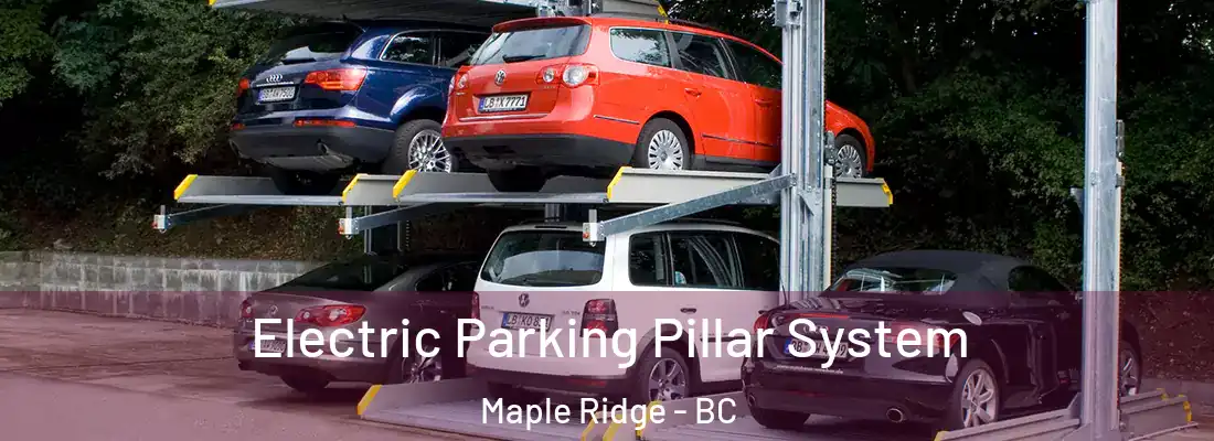  Electric Parking Pillar System Maple Ridge - BC