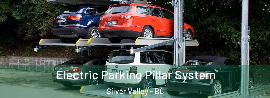  Electric Parking Pillar System Silver Valley - BC