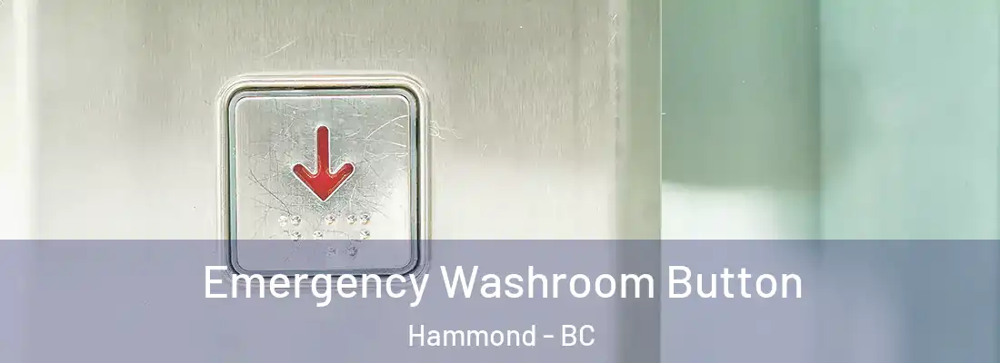  Emergency Washroom Button Hammond - BC