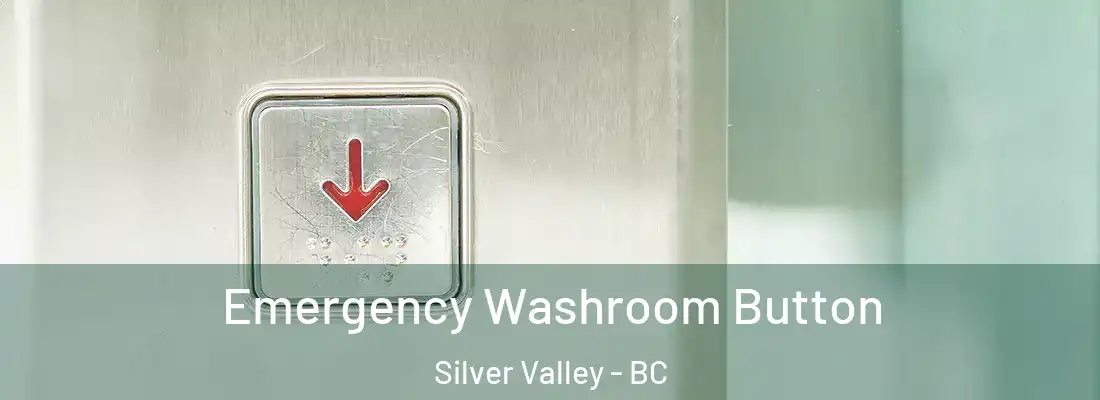  Emergency Washroom Button Silver Valley - BC