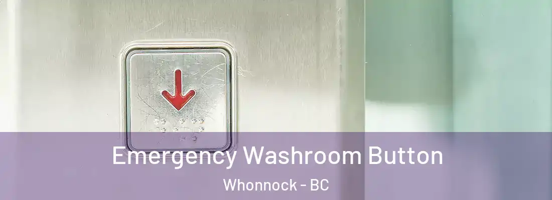  Emergency Washroom Button Whonnock - BC