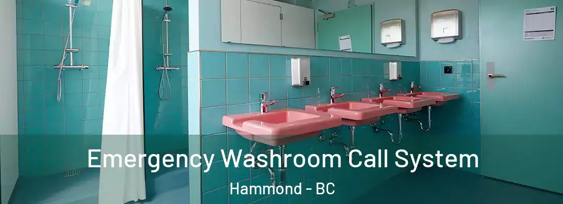 Emergency Washroom Call System Hammond - BC