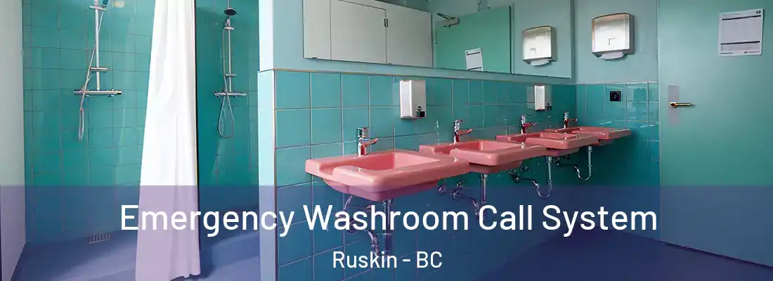  Emergency Washroom Call System Ruskin - BC