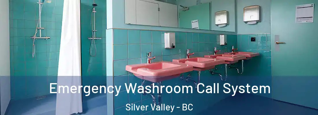  Emergency Washroom Call System Silver Valley - BC