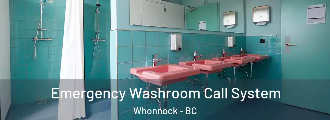  Emergency Washroom Call System Whonnock - BC