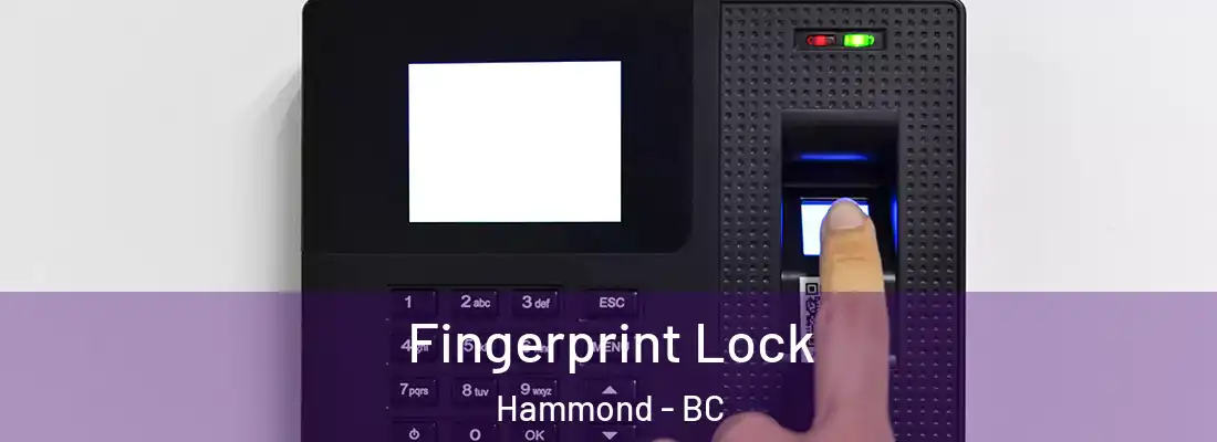  Fingerprint Lock Hammond - BC