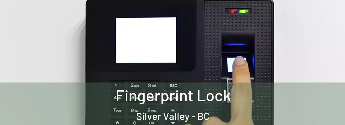  Fingerprint Lock Silver Valley - BC