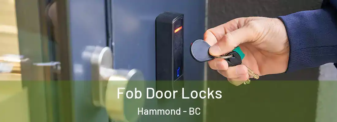  Fob Door Locks Hammond - BC