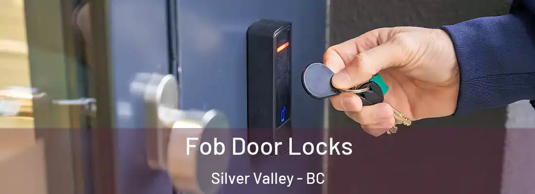  Fob Door Locks Silver Valley - BC