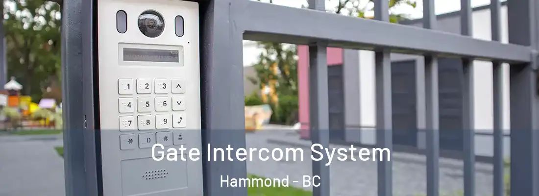  Gate Intercom System Hammond - BC