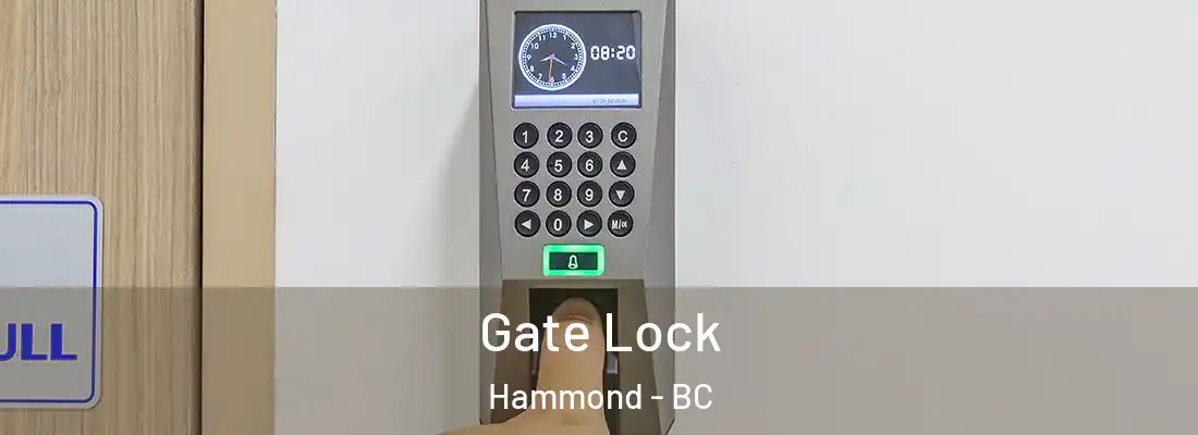  Gate Lock Hammond - BC
