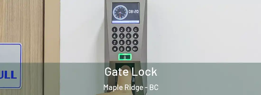  Gate Lock Maple Ridge - BC