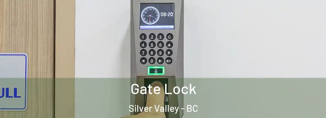 Gate Lock Silver Valley - BC