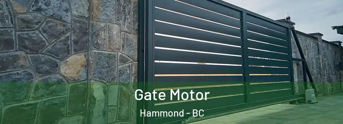  Gate Motor Hammond - BC