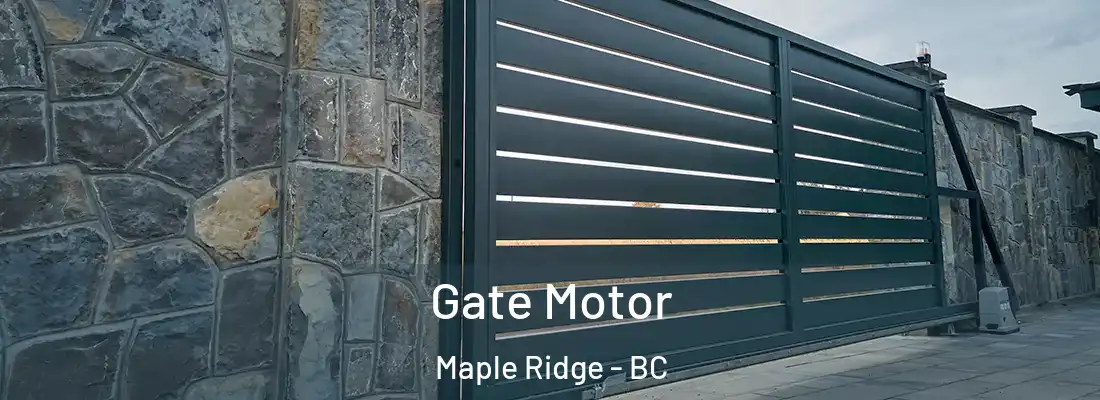 Gate Motor Maple Ridge - BC