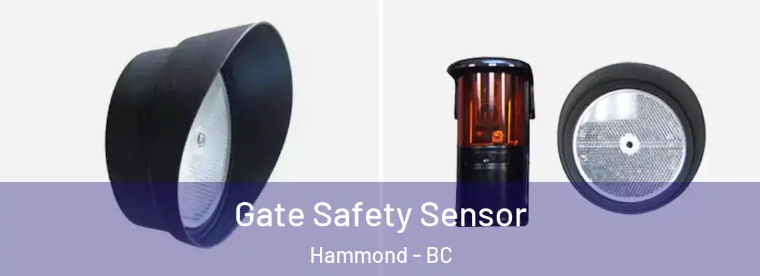  Gate Safety Sensor Hammond - BC