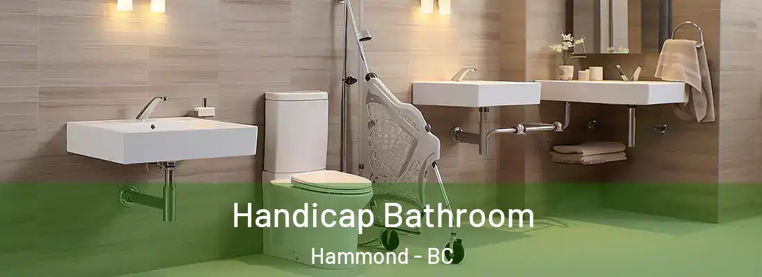  Handicap Bathroom Hammond - BC