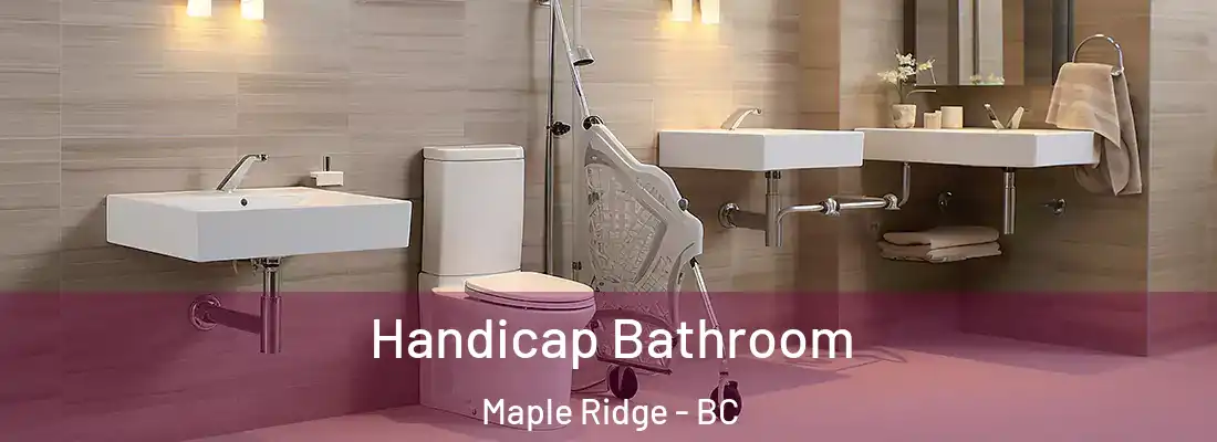  Handicap Bathroom Maple Ridge - BC
