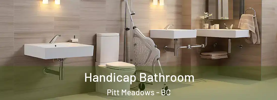  Handicap Bathroom Pitt Meadows - BC