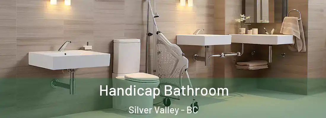  Handicap Bathroom Silver Valley - BC