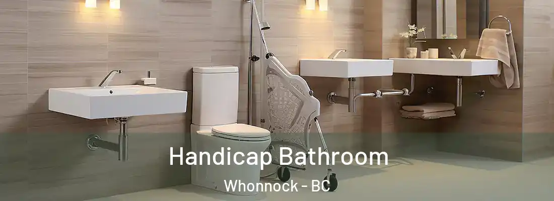  Handicap Bathroom Whonnock - BC