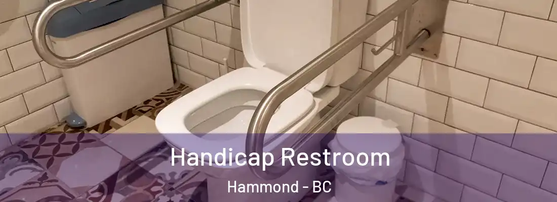  Handicap Restroom Hammond - BC
