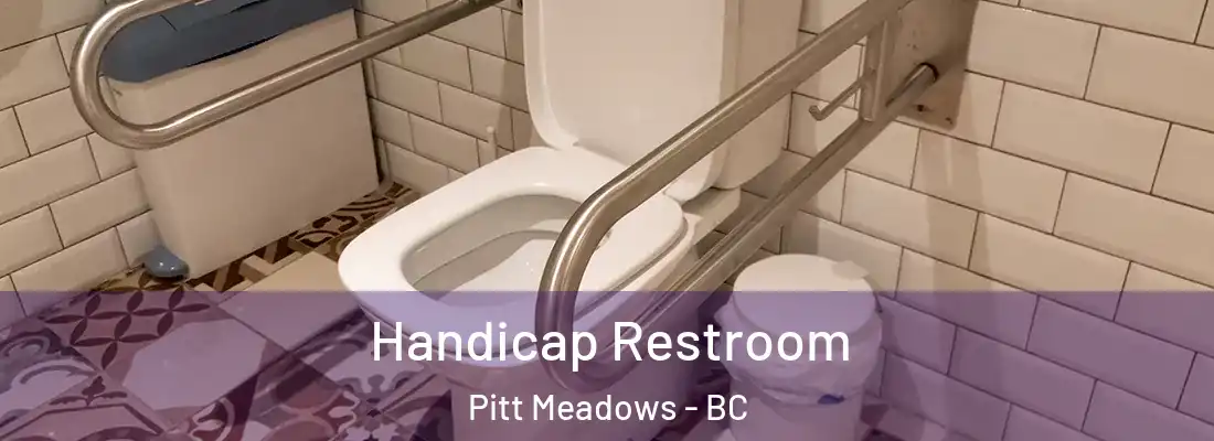  Handicap Restroom Pitt Meadows - BC