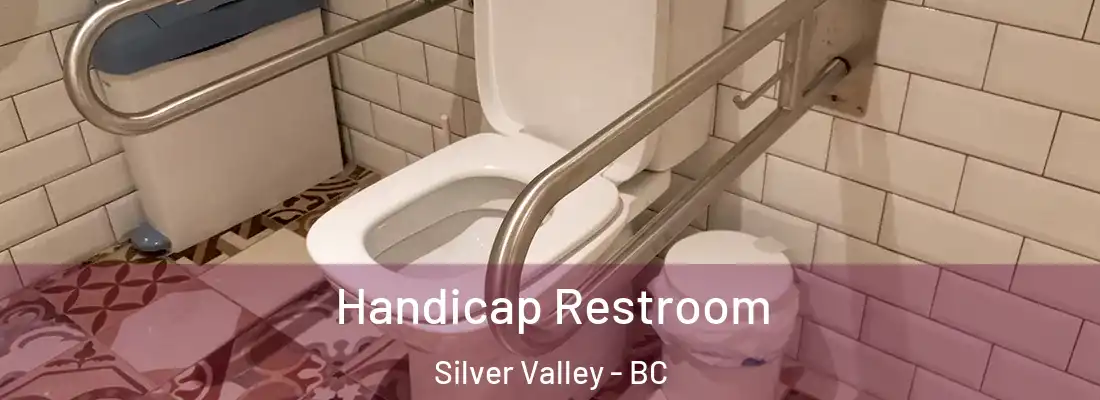  Handicap Restroom Silver Valley - BC