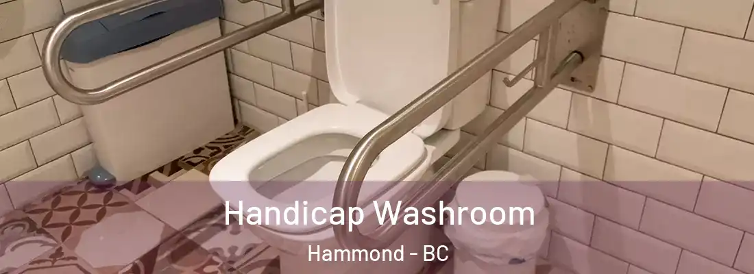  Handicap Washroom Hammond - BC