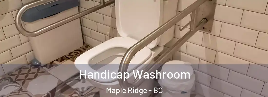  Handicap Washroom Maple Ridge - BC