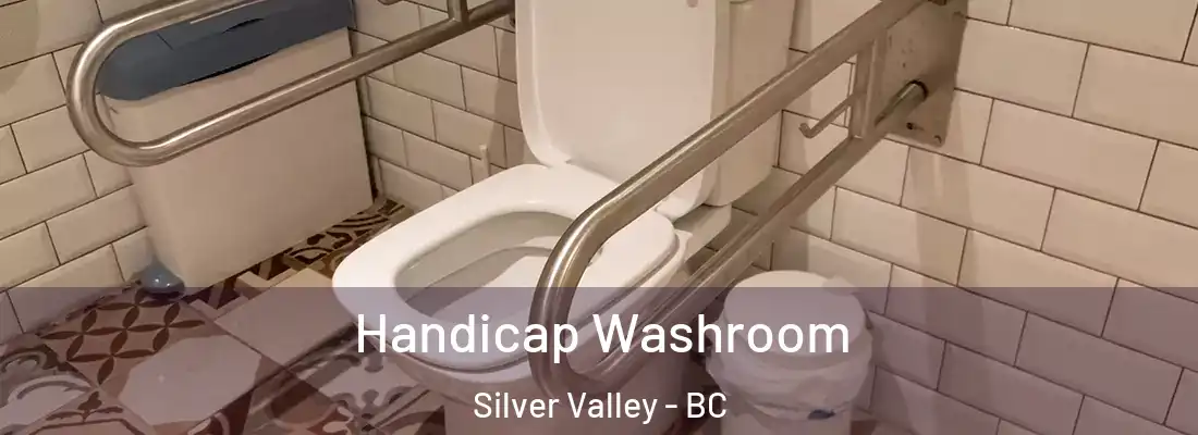  Handicap Washroom Silver Valley - BC
