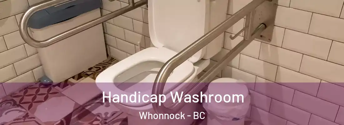  Handicap Washroom Whonnock - BC