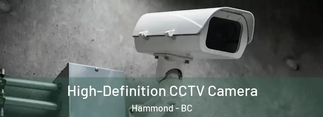  High-Definition CCTV Camera Hammond - BC