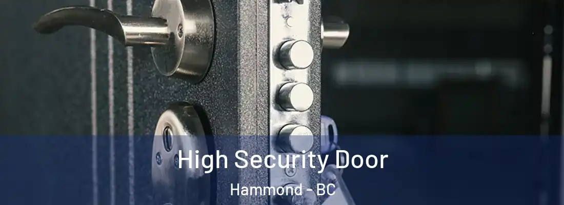  High Security Door Hammond - BC