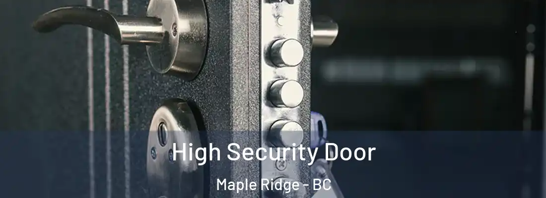  High Security Door Maple Ridge - BC