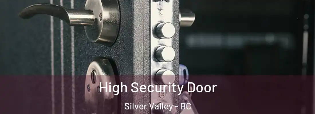  High Security Door Silver Valley - BC