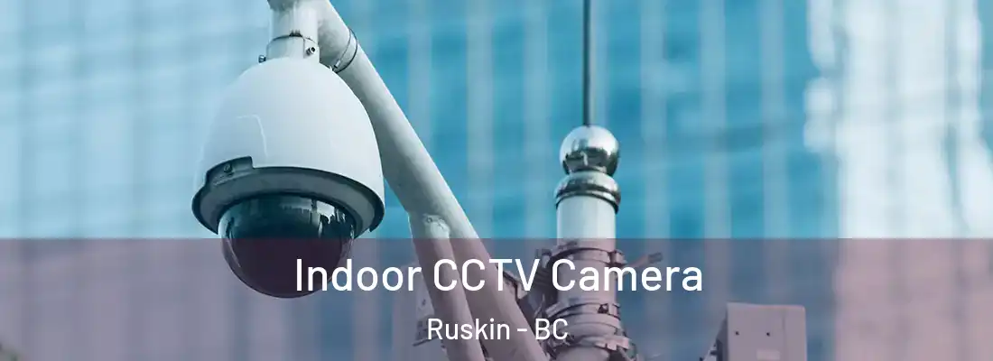  Indoor CCTV Camera Ruskin - BC