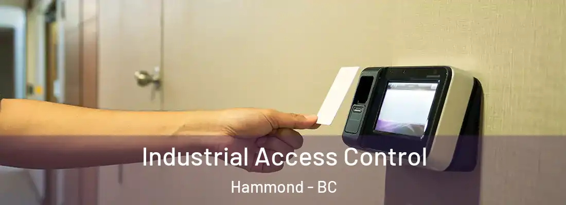  Industrial Access Control Hammond - BC