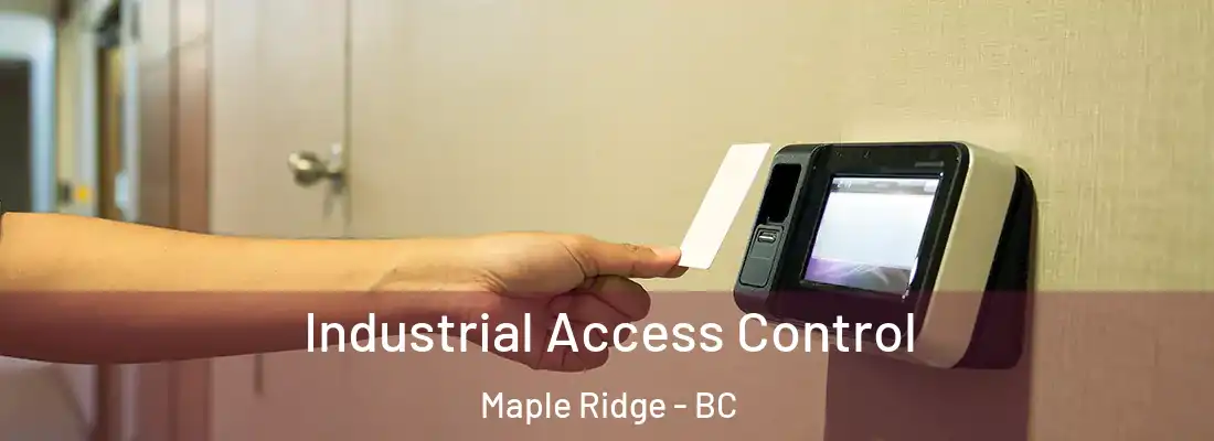  Industrial Access Control Maple Ridge - BC