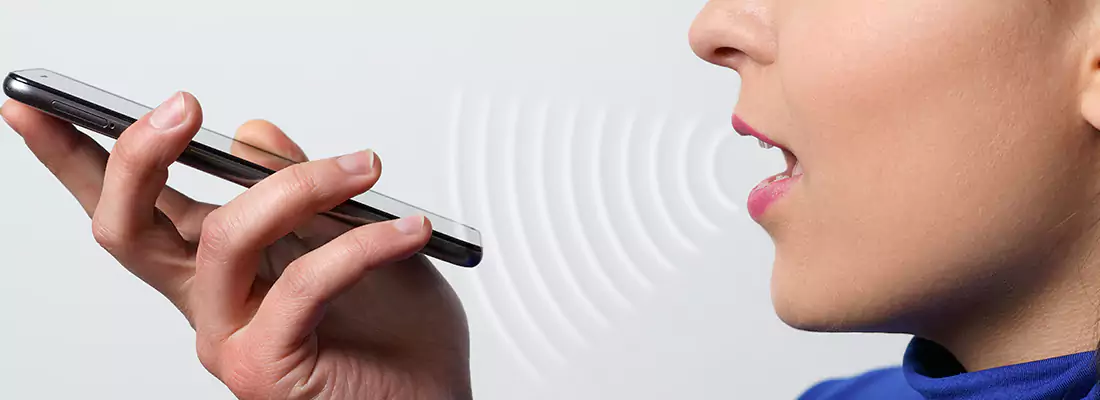 Residential and Commercial Voice Recognition Access Solutions in Maple Ridge, BC