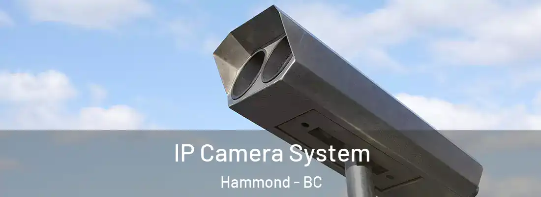  IP Camera System Hammond - BC