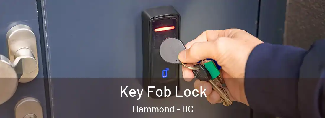 Key Fob Lock Hammond - BC