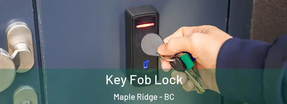  Key Fob Lock Maple Ridge - BC
