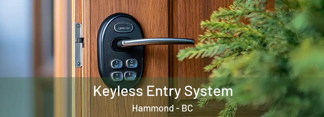 Keyless Entry System Hammond - BC