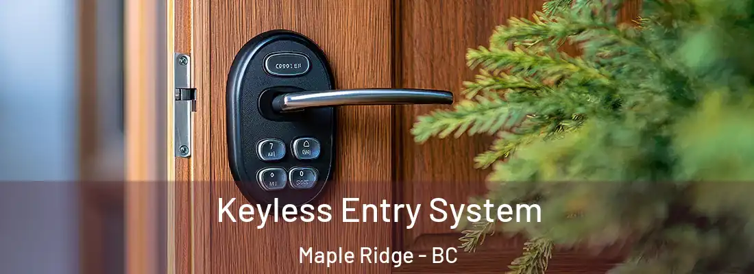  Keyless Entry System Maple Ridge - BC