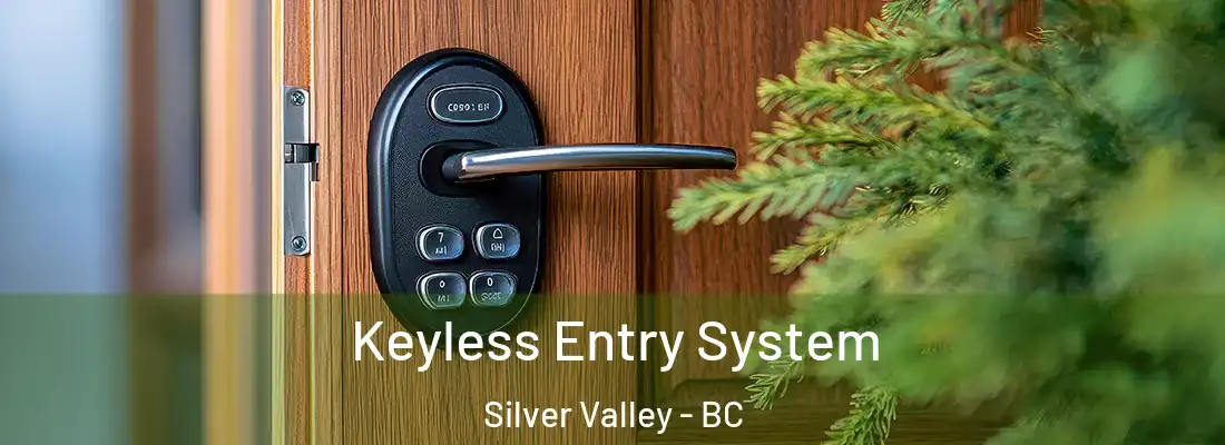  Keyless Entry System Silver Valley - BC