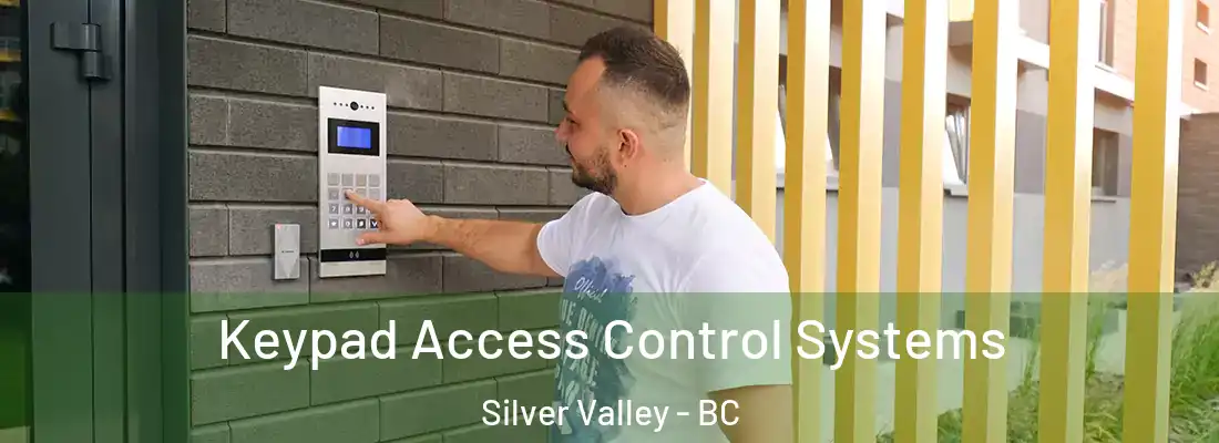  Keypad Access Control Systems Silver Valley - BC